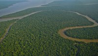 Conheça algumas ações do Governo Federal para cuidar da Amazônia