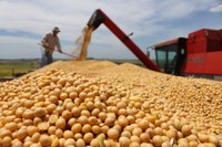 Produção de grãos brasileira deve alcançar novo recorde com 268,9 milhões de toneladas
