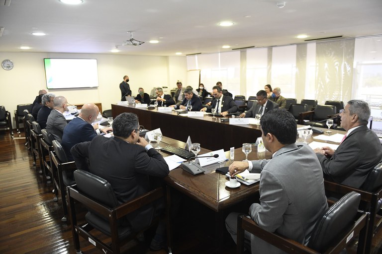 Comitê Interministerial de Governança