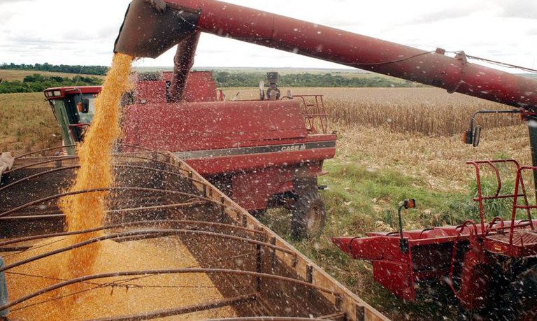 Valor da Produção Agropecuária deste ano deve ser o maior desde 1989