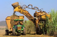 Colheita mecanizada da cana-de-açúcar leva à queda de emissões de gases do efeito estufa