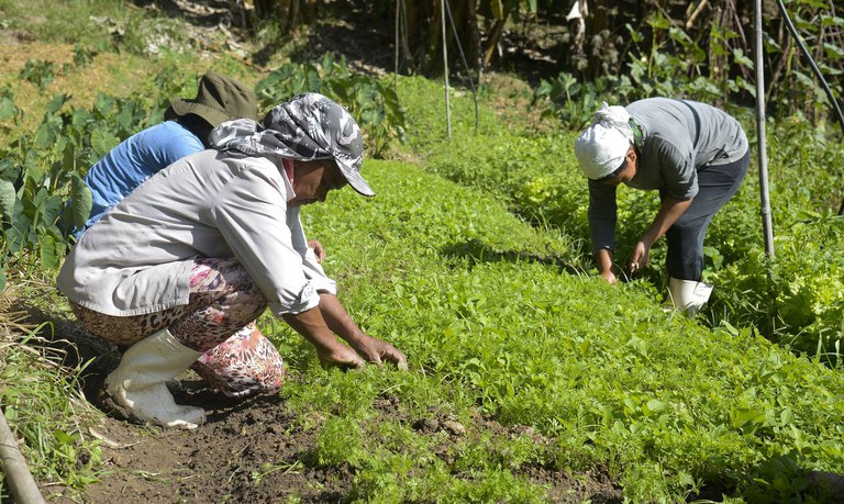 Garantia-Safra de 2019/2020 será pago para mais de 197 mil agricultores familiares