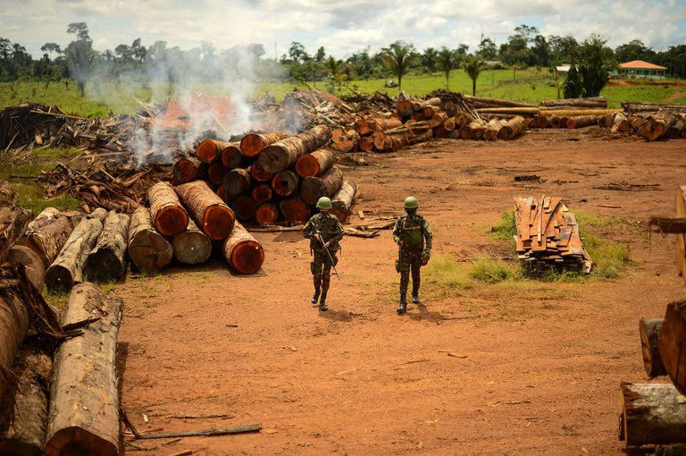 Operação Verde Brasil 2 segue atuando contra crimes ambientais na Amazônia