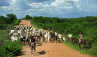 Valor da Produção Agropecuária de 2020 é o maior da história