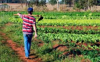 Agricultores familiares recebem incentivo do Governo Federal