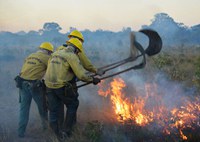 Lançado o primeiro Plano Estratégico Operacional de Atuação Integrada no Combate a Incêndios Florestais