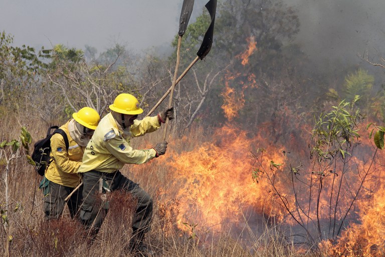 Operação Guardiões do Bioma combateu mais de 16.500 incêndios florestais em 11 Estados.