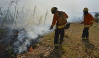 Governo Federal vai repassar R$ 20 milhões para combate a incêndios florestais no País