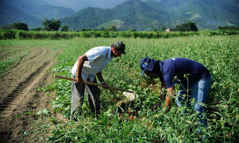 Contratação do crédito rural tem alta de 36%