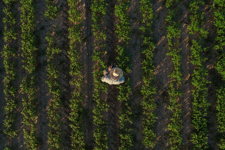 Valor da produção agrícola