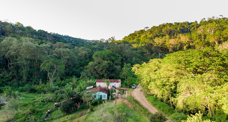 Alimenta Brasil amplia diversificação de cultura em Ihéus