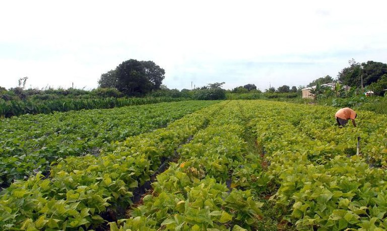 Governo Federal entrega títulos de propriedade rural em João Pinheiro (MG)