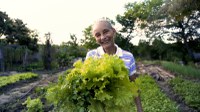 Programa Alimenta Brasil, uma ponte entre o agricultor familiar e as entidades assistenciais