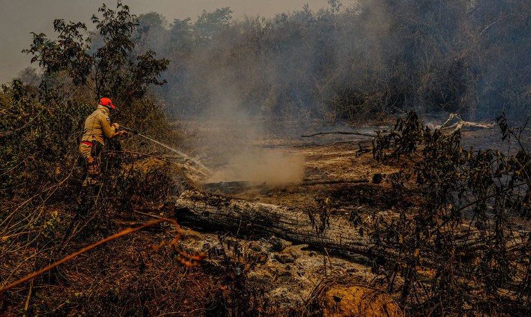 Preparação para incêndios florestais é tema de reunião da Defesa Civil Nacional