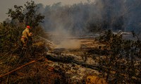 Reunião debate medidas preventivas e de combate a incêndios florestais