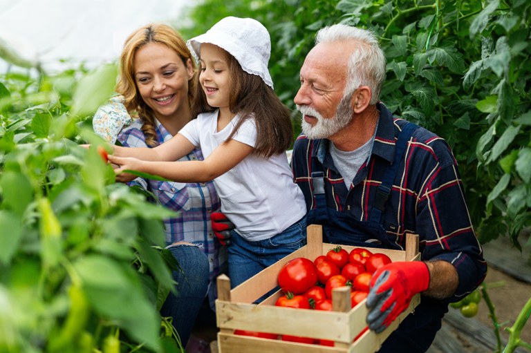 Selo Biocombustível Social é destinado a produtores de biodiesel que compram matéria-prima dos agricultores familiares