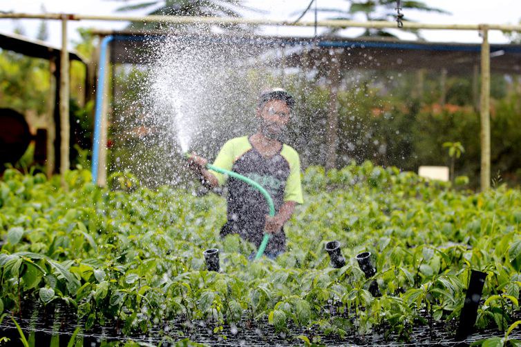 Programa Cidades + Verdes revitaliza Parque do Mico-Leão-Dourado, em Cabo Frio (RJ)