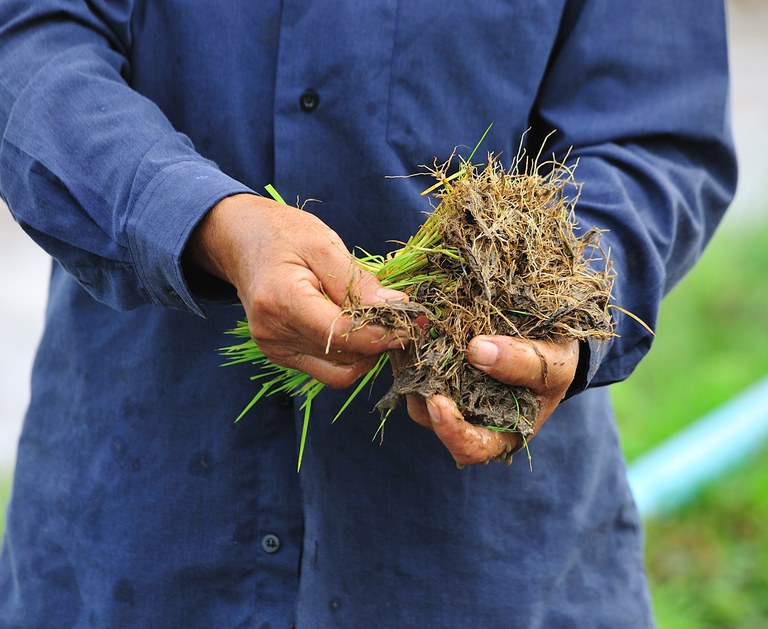 Governo Federal entrega títulos definitivos de terra a agricultores do Acre