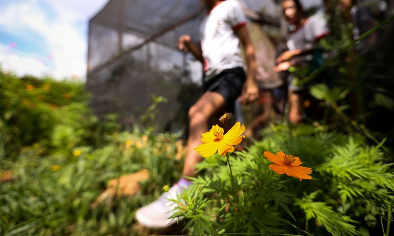 Escolas + Verdes: um incentivo à consciência ambiental nos estudantes