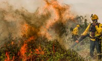 Crédito extraordinário do Governo Federal destina mais de R$ 137 milhões para combate a incêndios no Pantanal