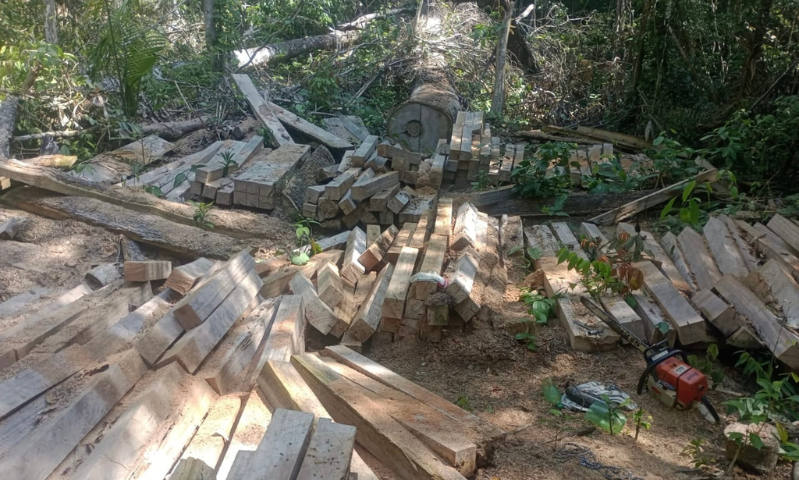 A desintrusão mobiliza mais de 20 órgãos do governo federal. Até agora, foram apreendidos quatro caminhões carregados de madeira e destruídas 23 edificações dentro da TIKA