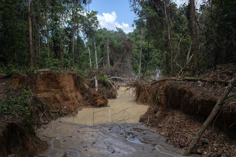 Vista de uma área desmatada pelo garimpo, com clareiras abertas no meio da floresta