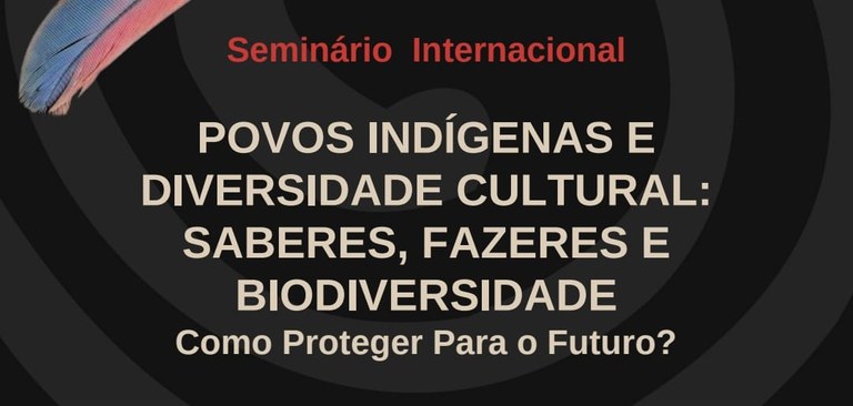 Seminário internacional Povos indígenas e diversidade cultural