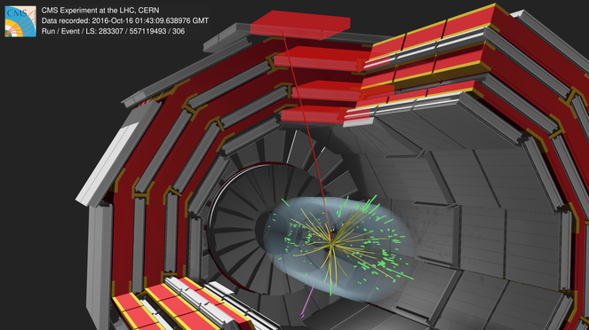 Evento de colisão candidato CMS para um bóson W decaindo em um múon (linha vermelha) e um neutrino que escapa à detecção (seta rosa) - Créditos: CMS/CERN