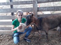 Colaboradora do CBPF  pesquisa cashmere de lã de cabras brasileiras
