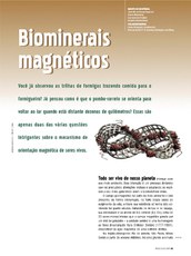 13_Biominerais_magnticos.jpg