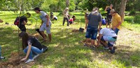 Cemaden Educação e Instituto Florestal promovem o plantio de mudas de árvores para compensação de CO2 com a participação de estudantes