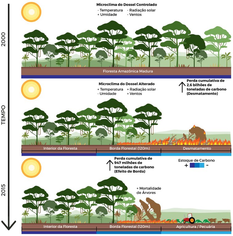 Cientistas Apontam O Aumento Em 37 Das Perdas De Carbono Florestal Pelo Desmatamento Na