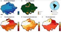 Cientistas brasileiros e britânicos apontam cinco cuidados para análises científicas entre a ocorrência de fogo e o clima na Amazônia