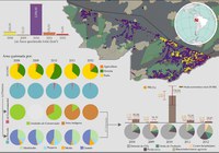 Estudos sobre impactos dos incêndios florestais estimam perda acumulada no Acre, em cinco anos, de cerca de R$ 981 milhões