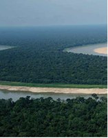 Impactos na Amazônia podem afetar o clima e transformar a floresta em savana, afirma pesquisador do Cemaden