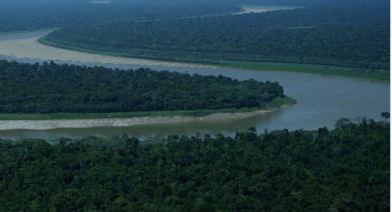 Floresta-Amazônica-Foto-Daniel-Beltra-Greenpeace.jpg