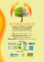 Pesquisadores realizam workshop sobre fogo na Amazônia em diferentes momentos da ocupação humana na região