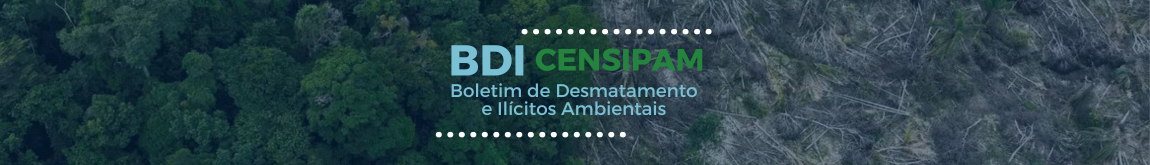 Banner Boletim de Desmatamento e ilícitos ambientais