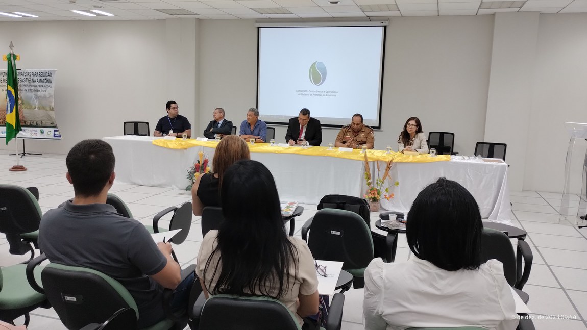 Workshop “Estratégias para Redução de Riscos e Desastres na Amazônia”