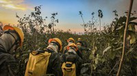 Censipam integra Comando Operacional Conjunto no combate às queimadas no Pantanal