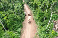 Censipam desenvolve ferramenta que auxilia na proteção do meio ambiente