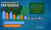 Desmatamento em janeiro tem queda de 70% e é o menor dos últimos quatro anos