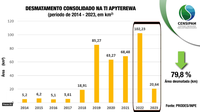 Relatório divulgado pelo Censipam aponta uma redução de quase 80% na área desmatada em Terra Indígena no Pará