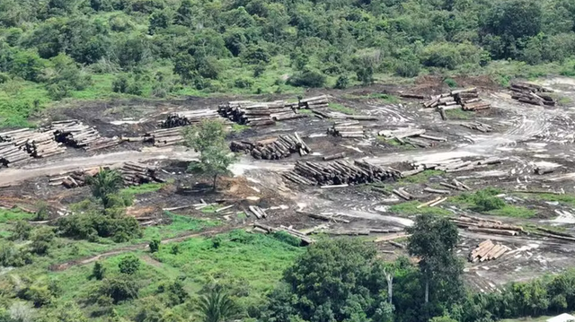 Desmatamento na Amazônia diminui