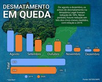 Tendência de queda no desmatamento da Amazônia