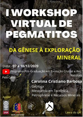 I Workshop Virtual de Pegmatito