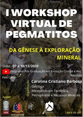 I Workshop Virtual de Pegmatito