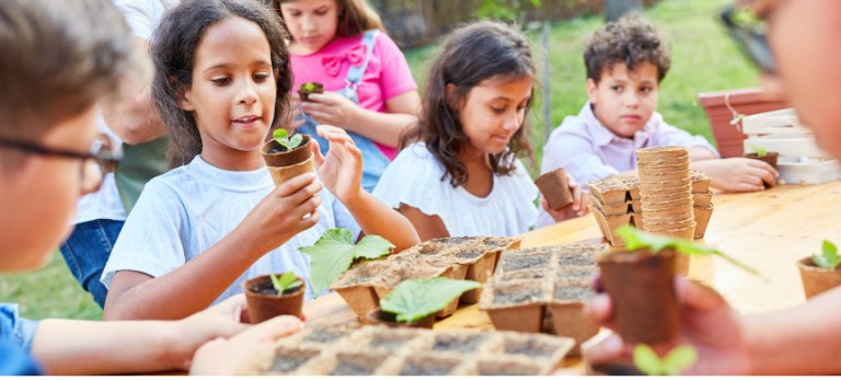 Educação e Sustentabilidade: CETENE Leva Bioeconomia às Escolas do Amazonas