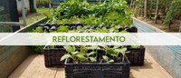 CETENE e Jardim Botânico do Recife contribuem no reflorestamento e preservação da Mata Atlântica