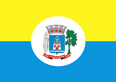 Bandeira_Santarem.png